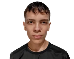 L1
