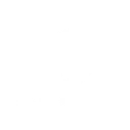 Team Secret