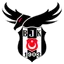 Beşiktaş Esports