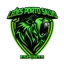 Leões de Porto Salvo Esports