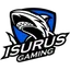 Isurus