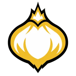 Onion Team
