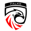 FALKE ESPORTS