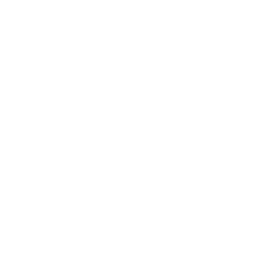 Team Secret Whales