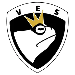VES