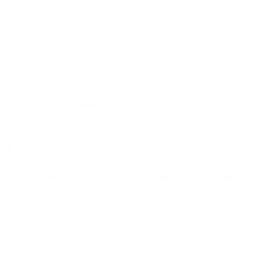 Shark Attack
