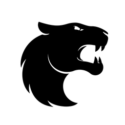 FURIA Academy